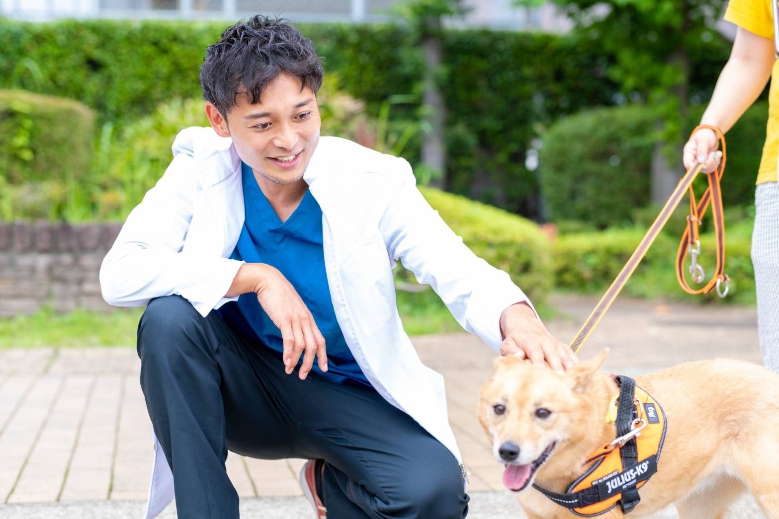 オリーブ動物医療センター スタッフ紹介 当院のスタッフ