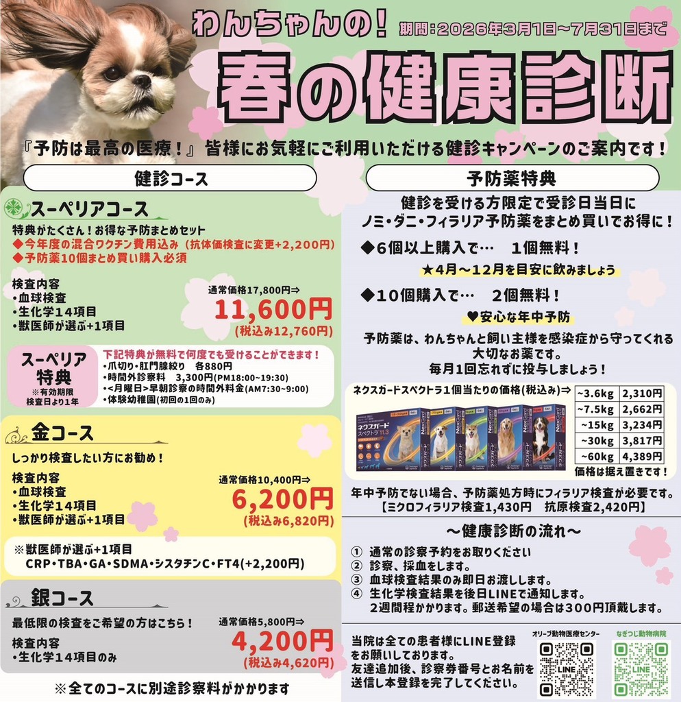 春の健診キャンペーン