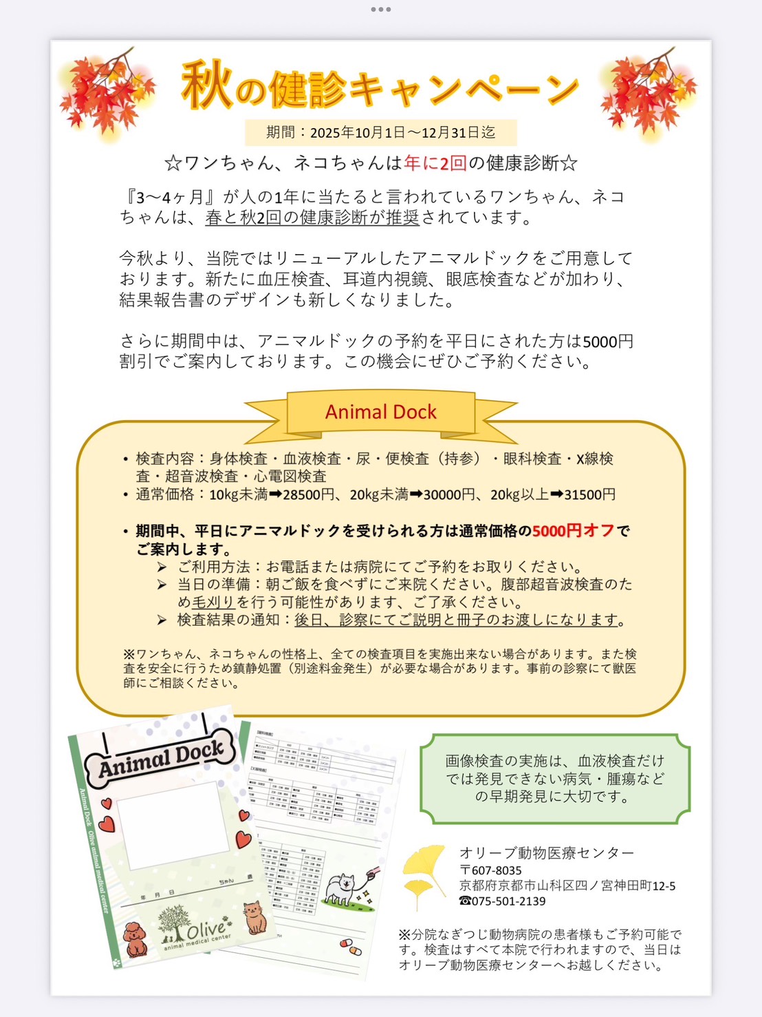 犬の健康診断キャンペーン