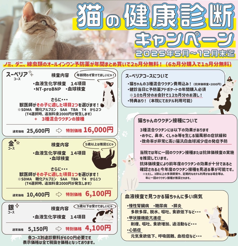 春の健診キャンペーン