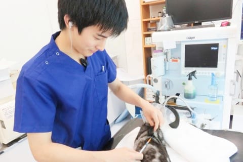 獣医師 西野 慎吾