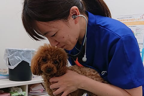 獣医師 検見崎 裕子