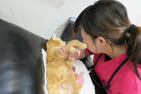 看護師 村田