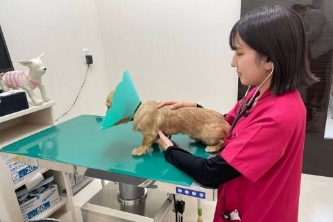 看護師 高瀬 美知